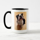 Search for boston terrier dog mugs Canine