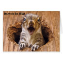 Search for squirrel meme Shocked