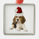 Recherche de original ornements Chien