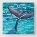 Search for fluke Dolphin