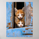 Search for vintage cat pictures posters Cats