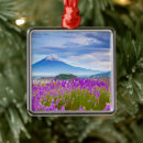 Search for mount fuji ornaments Landscape