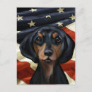 Search for doxie postcards 4th of july