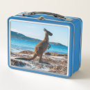 Search for lucky lunch boxes Cute