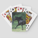 Recherche de pur sang jeux de cartes Équestre
