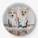 Search for pet plates Pets