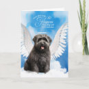 Search for bouvier de Bouviers