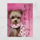Search for yorkie lover postcards Yorkie dog lovers