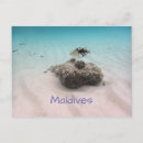 Recherche de corail et bleu cartes postales Pour tous