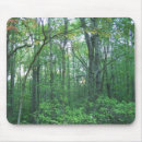 Recherche de sylviculture Arbres