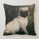 Search for fawn pug pillows 12 weeks