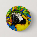 Recherche de perroquet bleu badges Oiseau
