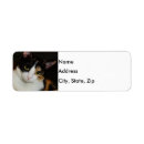 Search for calico cat return address labels Kitty