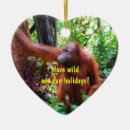 Search for orangutan ornaments Animal