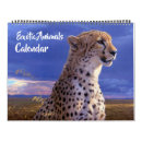 Search for cheetah calendars Leopard