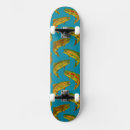 Search for fly skateboards Rainbow