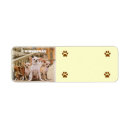 Search for tiny return address labels Chihuahua