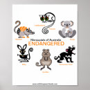 Search for marsupials posters Australia