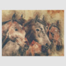 Search for wild horse tissue paper Craft