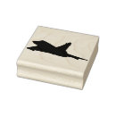 Search for mirage Aircraft