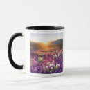 Search for state parks mugs California