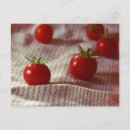 Recherche de tomatoe cartes postales Rouge