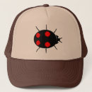 Search for ladybirds hats Black