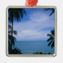 Search for land ornaments Outdoors