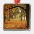 Search for large format ornaments Washington