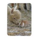 Recherche de pâques cartes Mignon