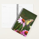 Recherche de coneflowers Papillon