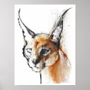 Recherche de caracal posters Dessin
