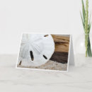 Search for sand note cards Seashells