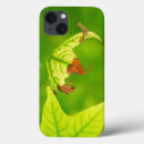Search for maple tree iphone cases Leaf