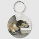 Search for laziness keychains Dog