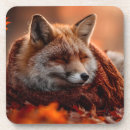 Recherche de renard rouge dessous de verres Faune