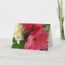 Recherche de pink mothers day cards Fleur