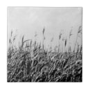 Recherche de paysages marins carreaux Littoral