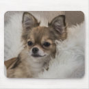 Search for pedigree dog mousepads Dogs