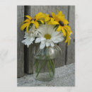 Search for black eyed susan Floral