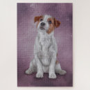 Search for jack russell terrier puzzles Pet