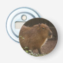 Recherche de capybara bar Faune