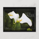 Recherche de seul cartes postales Citations