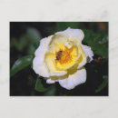 Search for honeybee postcards Nature