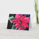 Search for plant christmas cards Nature