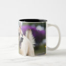 Search for aggressive mugs Animal