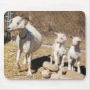 Recherche de amant animal électronique Bébé