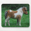 Search for miniature electronics Horse
