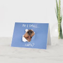 Search for funny dog birthday cards Nose