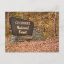 Search for cherokee Cherokee national forest